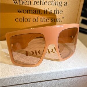 Christian Dior Oversized Shield Sunglasses Nude Blush Runway Frame Rare Color
